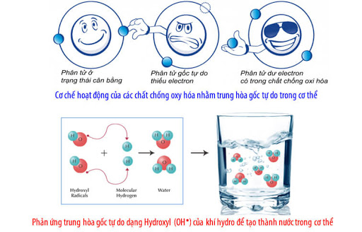 Uống nước ion kiềm giàu hydro hàng ngày - phương pháp chống lại gốc tự do hiệu quả