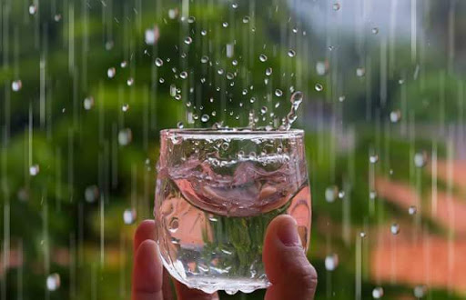 Sử dụng nước mưa đúng cách để không ảnh hưởng đến sức khỏe