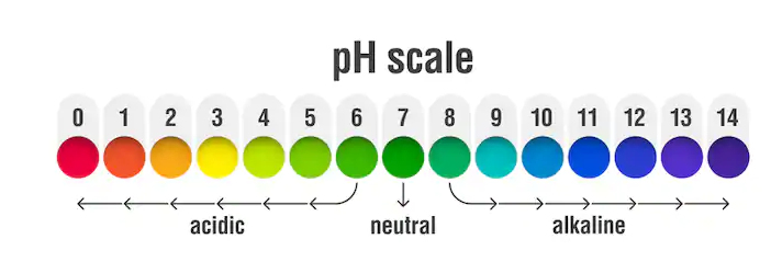 Chỉ số pH có vai trò quan trọng trong cuộc sống