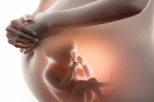 Sức khỏe của thai nhi phụ thuộc vào chế độ ăn uống của mẹ