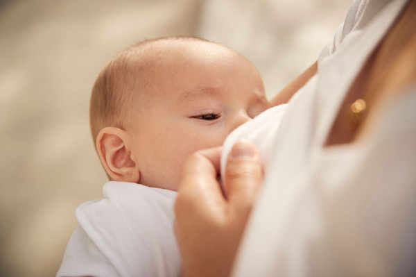 Sử dụng nước lá đinh lăng đúng cách giúp bà mẹ có nguồn sữa dồi dào hơn, tránh tình trạng tắc sữa, ít sữa gây bất lợi cho đứa bé