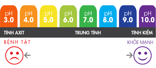 Thang đo pH đối với sức khỏe của con người