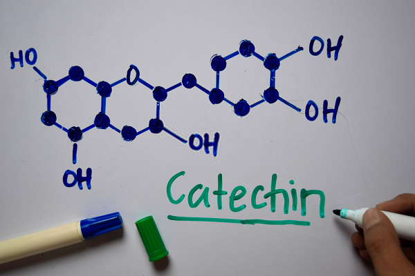 Catechin là gì