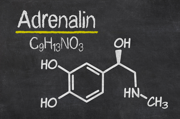 Adrenaline là gì?  Công thức hóa học của Adrenaline