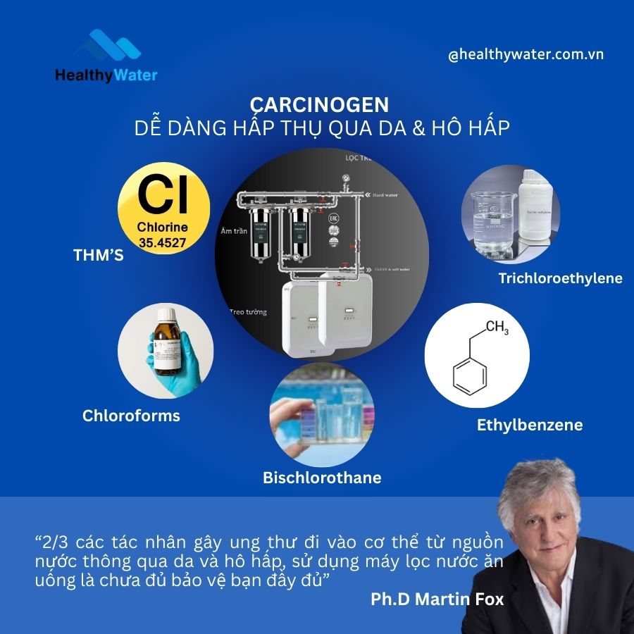 Các tác nhân ung thư sinh ra bởi quá trình clo hóa nguồn nước dễ dàng đi vào cơ thể qua da và hô hấp