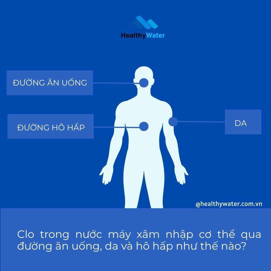 Con đường tạp chất đi vào cơ thể không chỉ qua đường uống