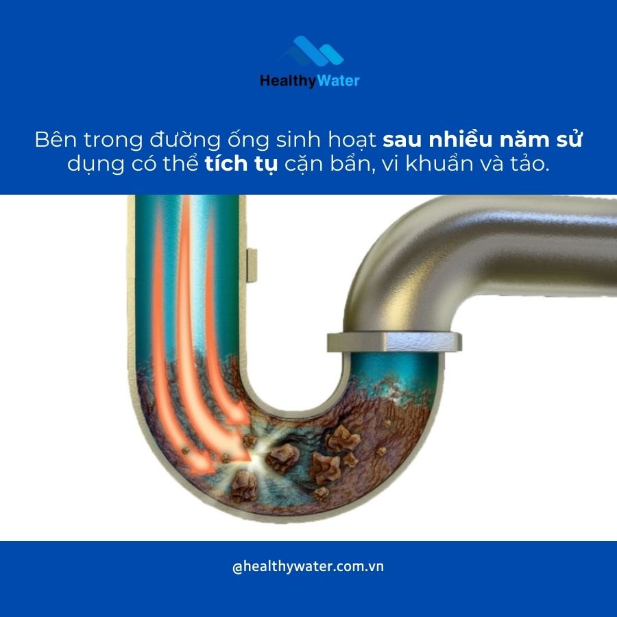 Hệ thống đường ống trong nhà và nguy cơ tái nhiễm khuẩn của nước đã lọc