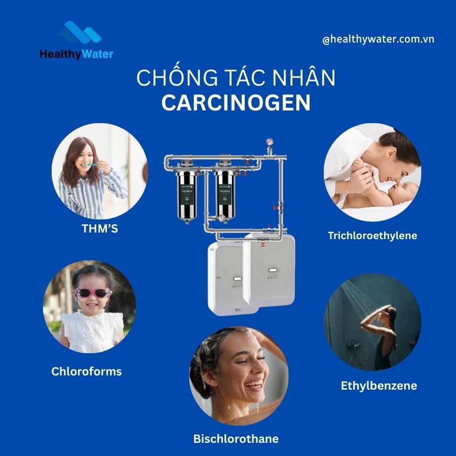 Hệ thống lọc nước đầu nguồn Gyẻ giúp loại bỏ hiệu quả Clo cùng các sản phẩm phụ phát sinh từ quá trình Clo hóa nước