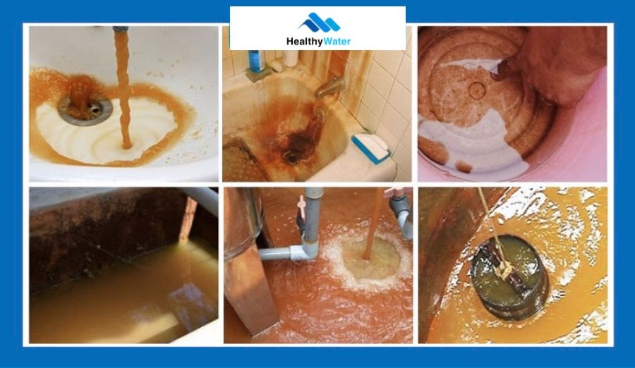 Nguồn nước Việt Nam có đặc tính phức tạp