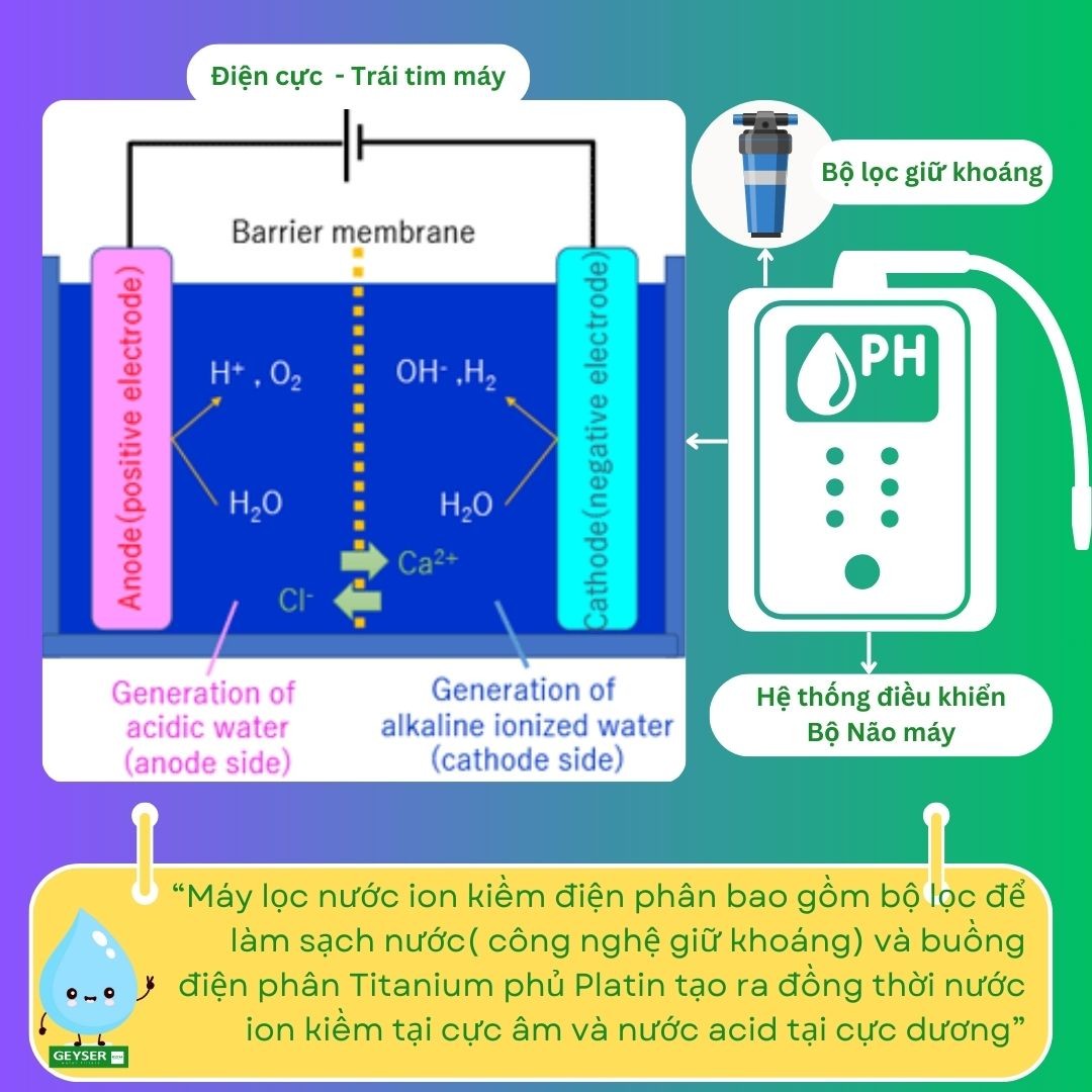 Sơ đồ nguyên lý máy ion kiềm cho thấy pH phụ thuộc bộ lọc, điện cực, màng ngăn, lưu lượng và hệ điều khiển
